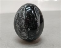 trilobite carved into an egg
