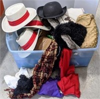 Assorted Hats & Pillows