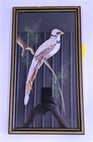 Vintage Picture w/Real Feathers, Approx 18" x 10"