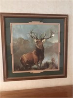 4 Deer Prints