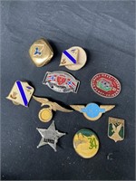 Lot of international stunning pins