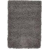 Solid Shag Graphite Gray 2 ft. x 3 ft. Area Rug