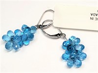 $1600 14K  Genuine Blue Topaz(20ct) Earrings