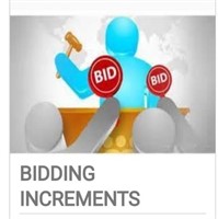 BIDDING INCREMENTS