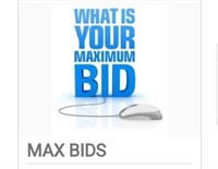 Maximum Bid