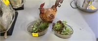 Figurine, Rooster, Succulents, Plant