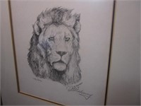 Framed C.B. Mahrney Lion Etching
