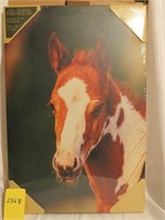 Paint Foal Print, On Canvas