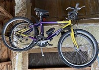 2 Adult Bicycles