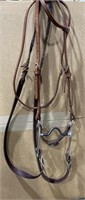 Leather Headstall and Reins with Curb Bit