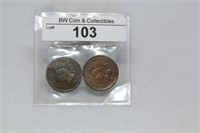 (2) Indian Head Pennies 1900, 1901- one RB
