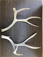 Lot Of 2 Antlers