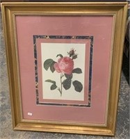 Framed Wall Art - Rose w/ Pink Matte
