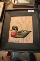 WOOD DUCK PICTURE