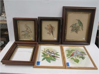 Walnut Shadow Box Frames & Bird Prints