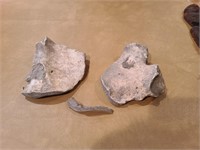 Unknown Early Bone Fragments