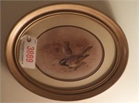 Pair of oval framed bird prints