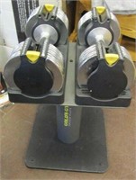 Golds Gym Switch Plate 100 Adj. Dumbbells