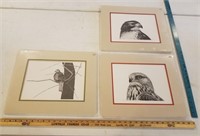 Assorted Bird Prints