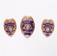 Lot of 3 Police Badges Peoria & Buckeye