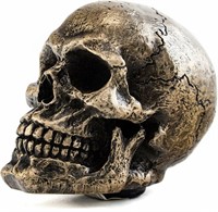 Top Collection Gothic Skull Shift Knob Bronze