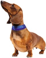 2X nobrand ZIFEIPET Dog Cooling Collar Adjustable
