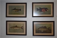 Set of 4 J.L. Petrie Vintage Fish Prints