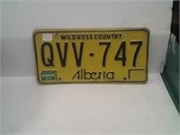 Vintage Alberto 1984 license plate