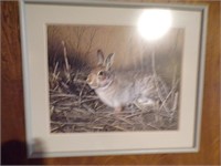 Framed Rabbit picture