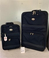 Blue Air Canada luggage