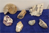 AMMONITE, IRON PYRITE, CRYSTALS, OTHER ROCKS