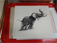 Asst. Wildlife/Animal Prints