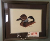 Framed print of Ruddy Ducks by Grover Cantwell Jr
