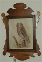 Framed print of owl in wooden framed 12” x 18"