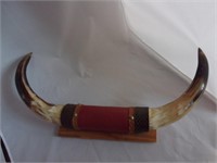 MOUNTED BULL HORNS