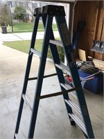 Warner 6 foot folding ladder