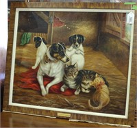 Jack Russell Terriers & Cats