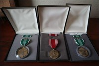 (3) Military Service Medals