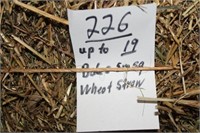 Straw-Sm.Squares-Wheat