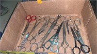 Flat of 12 Scissors including one Lefty
