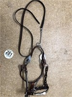 Tag #281 Leather Horse halter & lead