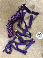 Tag #190 Two Purple Halters w/a lead