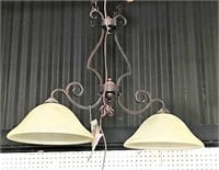 Bronze Colored Light Fixture with Glass Shades