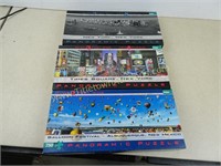 Three Panoramic Puzzles