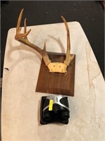 Deer Mount and Binoculars