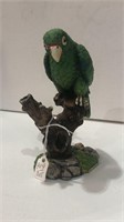 Parrot Decor