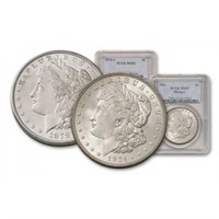 1878 s- 1921 P MS 63 PCGS Morgan Dollars