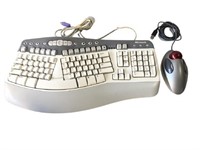 Vintage Windows Keyboard & Logitech Mouse