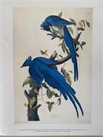 No. B12,610 John James Audubon, 1785-1851...