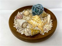 Shells and Glass float in wooden bowl